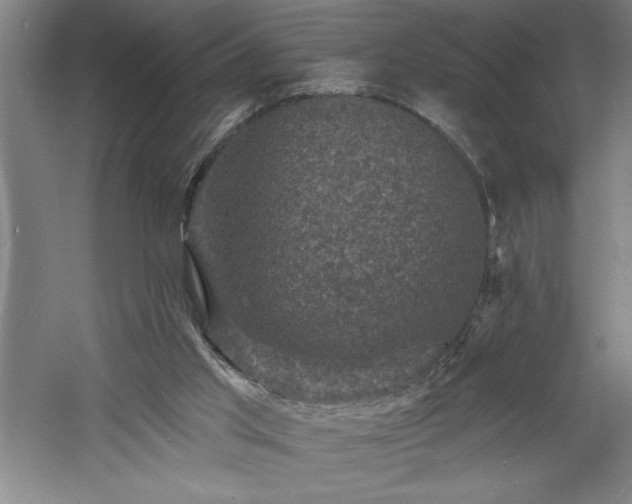 X0000060790013200511101430