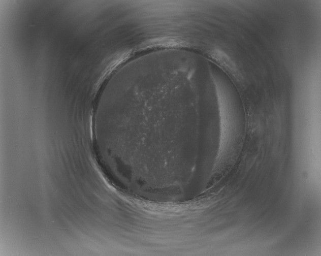 X0000060790014200511101430