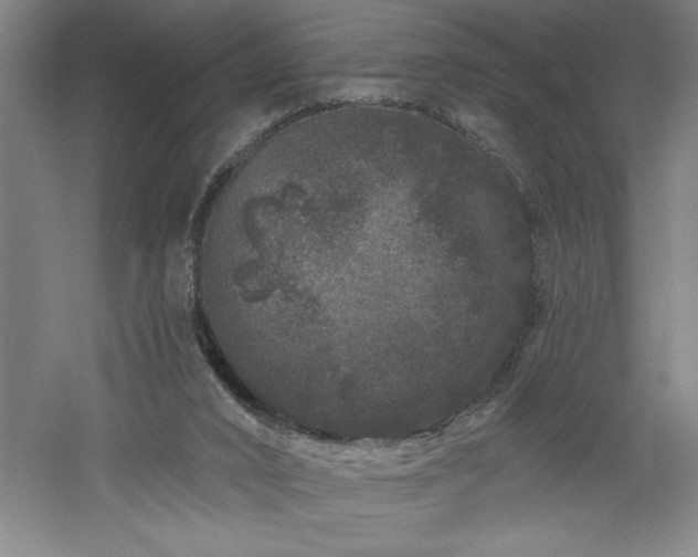 X0000060790016200511101430