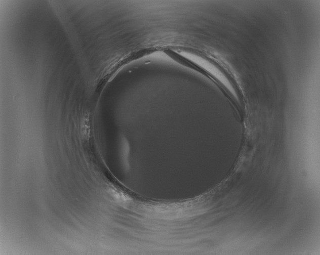 X0000060790017200511101430