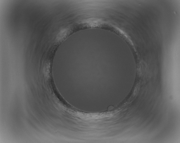 X0000060790018200511101430