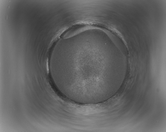 X0000060790020200511101430