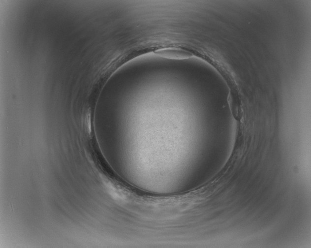 X0000060790021200511101430