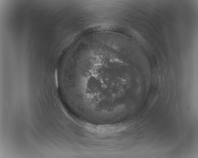 X0000060790022200511101430