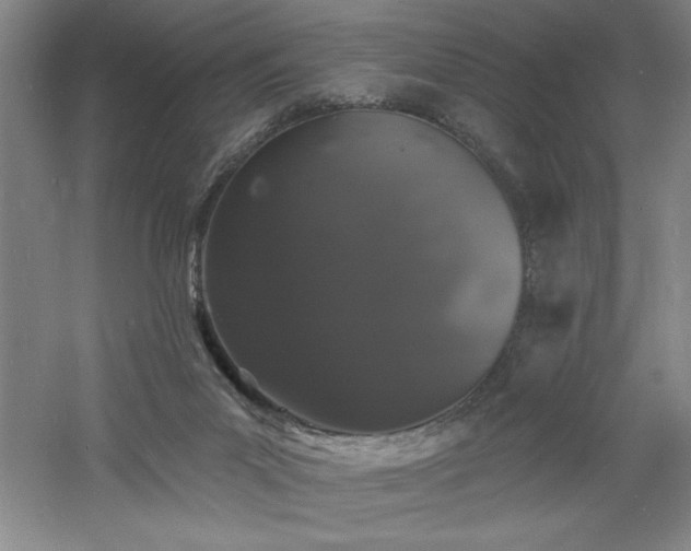 X0000060790023200511101430