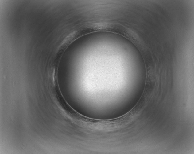 X0000060790024200511101430