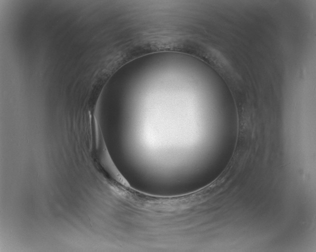 X0000060790025200511101430