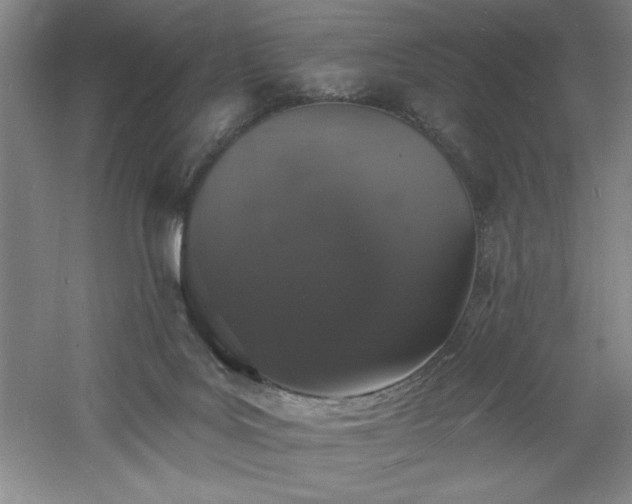 X0000060790027200511101430