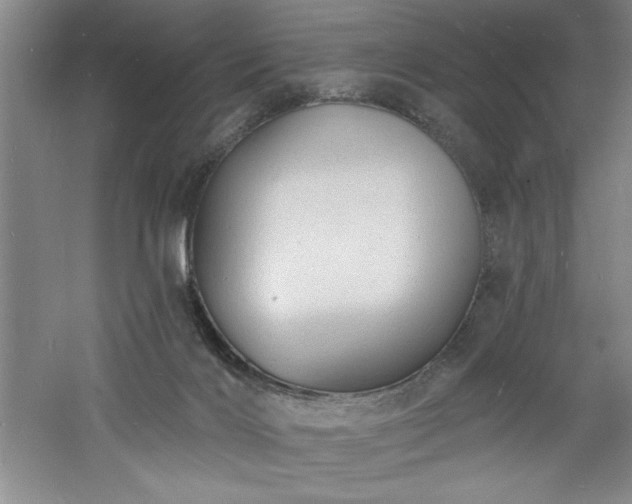 X0000060790028200511101430