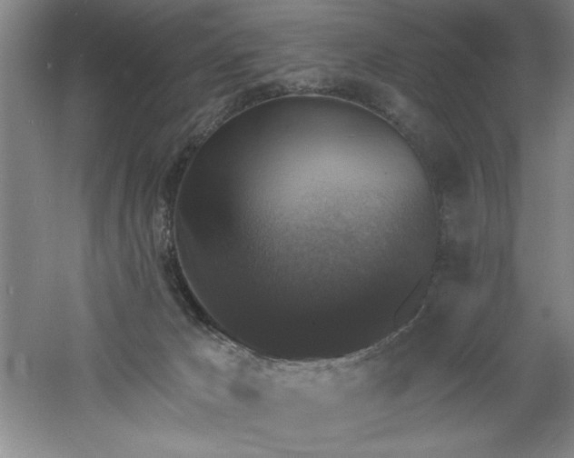 X0000060790029200511101430