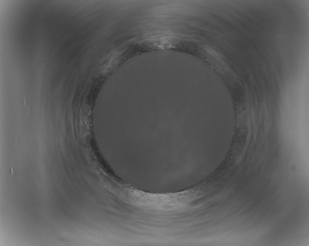 X0000060790030200511101430