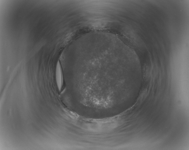 X0000060790033200511101430