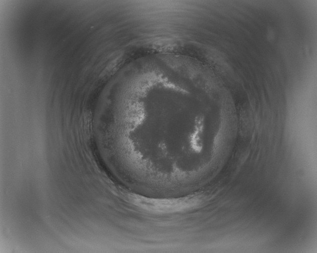 X0000060790034200511101430