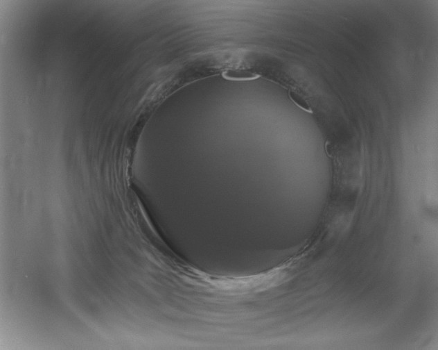 X0000060790035200511101430