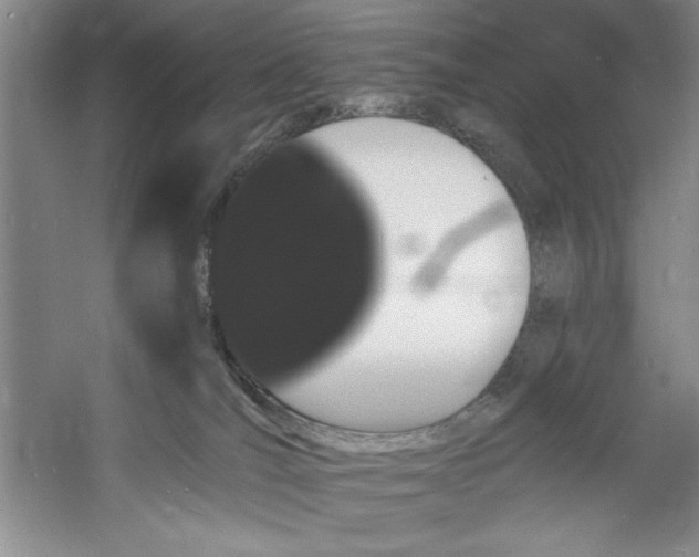 X0000060790036200511101430