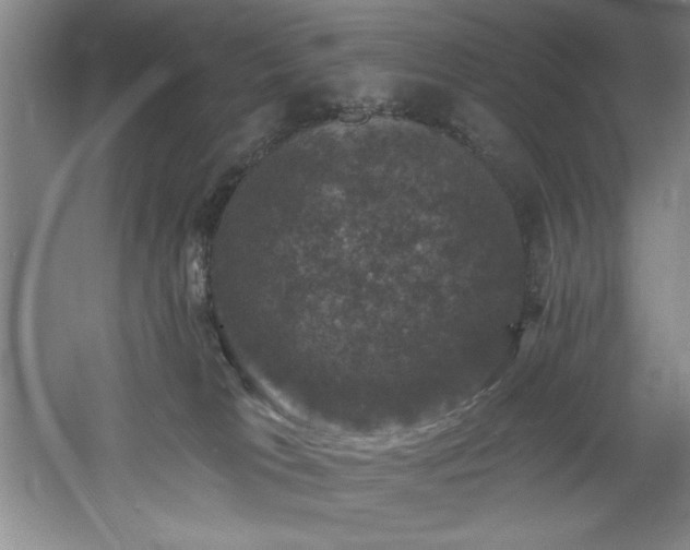 X0000060790037200511101430