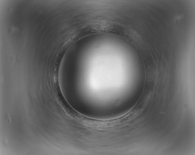 X0000060790040200511101430