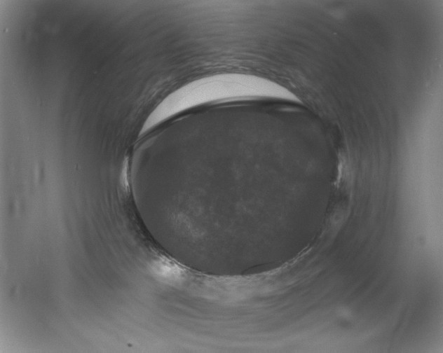 X0000060790041200511101430