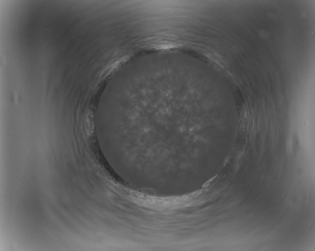 X0000060790043200511101430