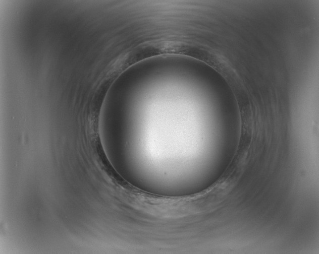 X0000060790044200511101430