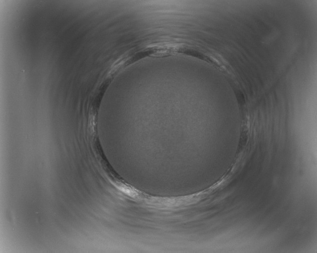 X0000060790045200511101430