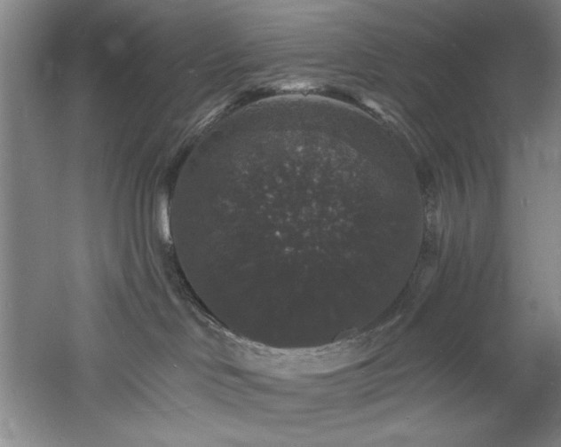 X0000060790046200511101430