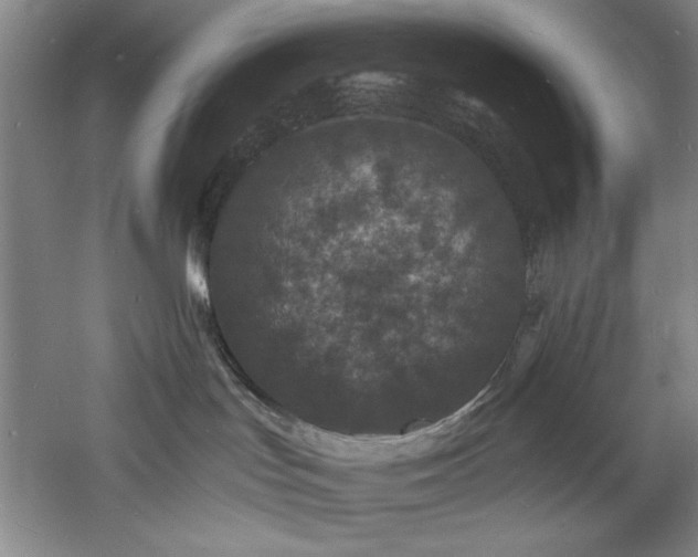 X0000060790047200511101430