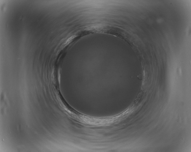 X0000060790048200511101430