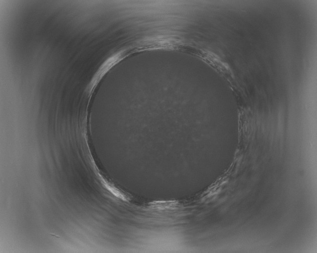 X0000060790051200511101429