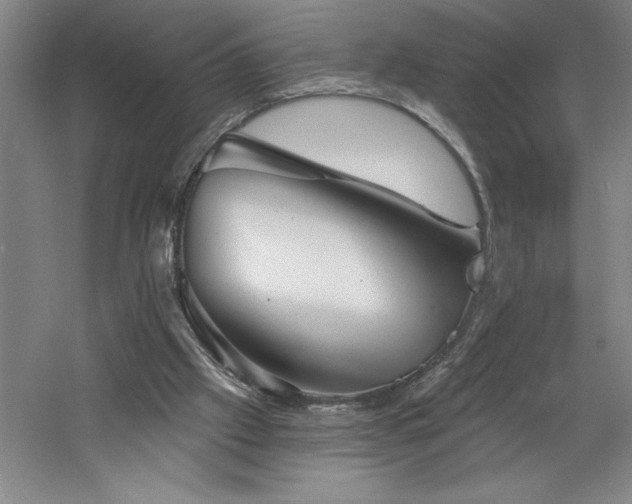 X0000060790057200511101429