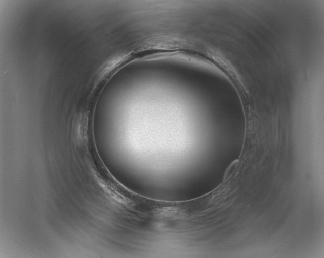 X0000060790058200511101429