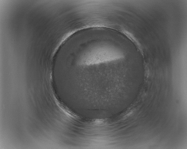 X0000060790060200511101429