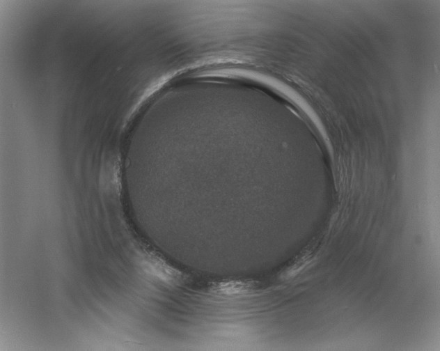 X0000060790064200511101429