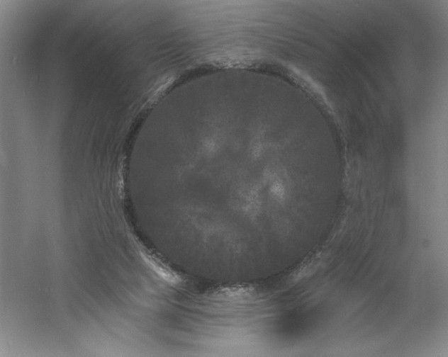 X0000060790065200511101429