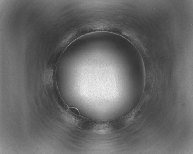 X0000060790066200511101429