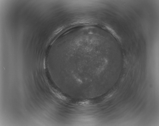 X0000060790068200511101429