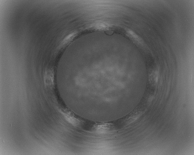 X0000060790072200511101429