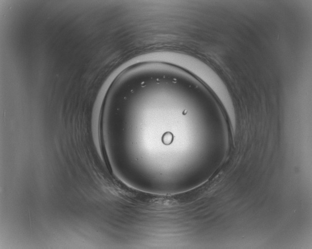 X0000060790073200511101429