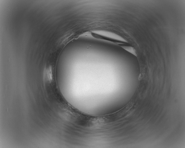 X0000060790075200511101429