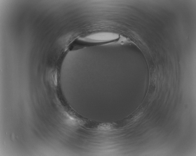 X0000060790076200511101429