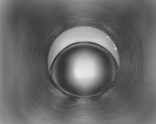 X0000060790077200511101429