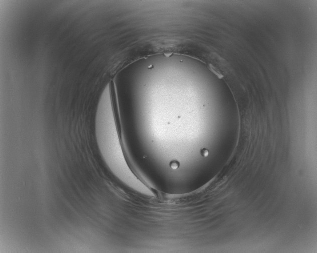 X0000060790079200511101430