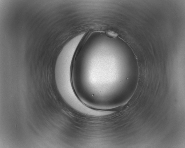 X0000060790080200511101430