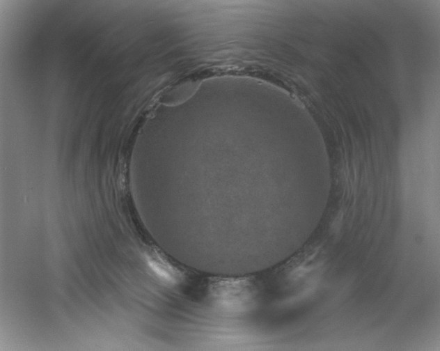 X0000060790081200511101430