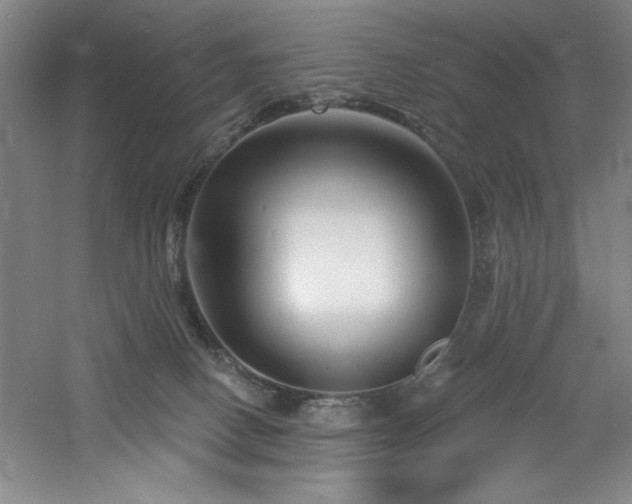 X0000060790082200511101430