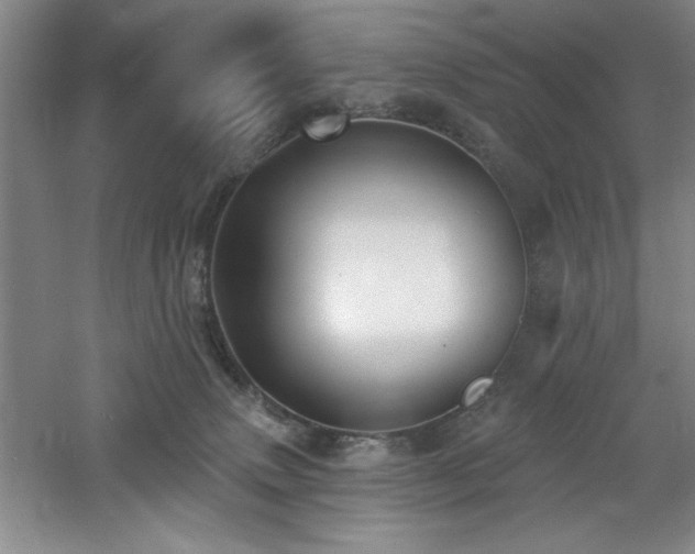 X0000060790083200511101430