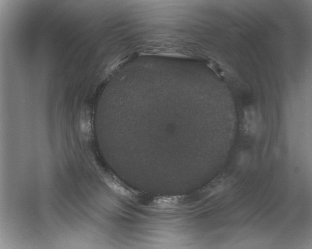 X0000060790084200511101430