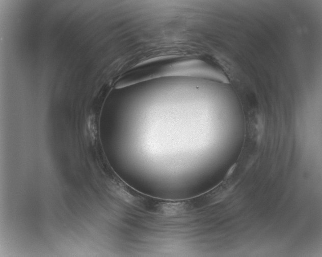 X0000060790085200511101430