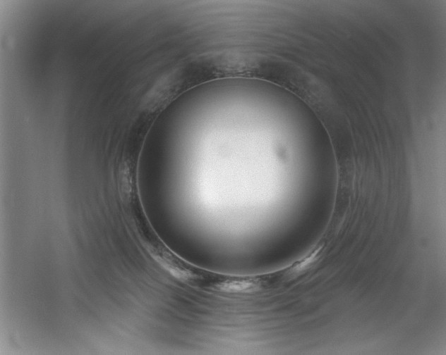 X0000060790086200511101430