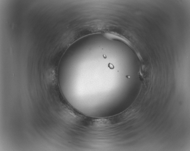 X0000060790087200511101430